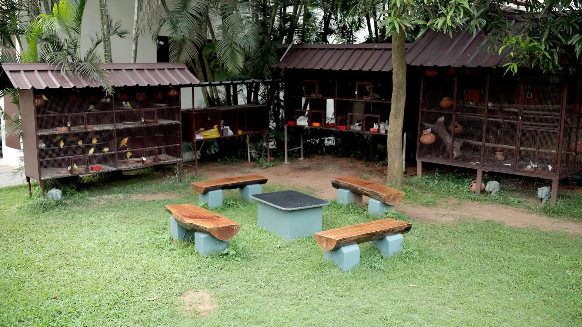Lagoona Beach Resort Kovalam India